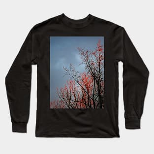 Kiss of the Sun II Long Sleeve T-Shirt